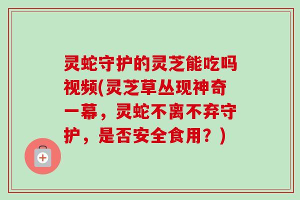 灵蛇守护的灵芝能吃吗视频(灵芝草丛现神奇一幕,灵蛇不离不弃守护,是否安全食用?) 灵蛇守护的灵芝能吃吗视频(灵芝草丛现神奇一幕,灵蛇不离不弃守护,是否安全食用?)
