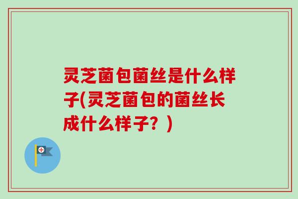 灵芝菌包菌丝是什么样子(灵芝菌包的菌丝长成什么样子?) 灵芝菌包菌丝是什么样子(灵芝菌包的菌丝长成什么样子?)
