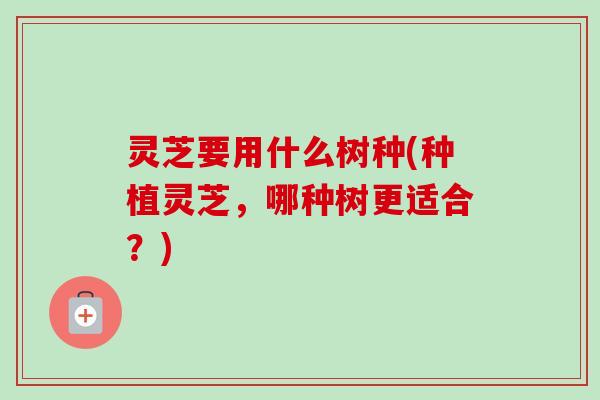 灵芝要用什么树种(种植灵芝,哪种树更适合?) 灵芝要用什么树种(种植灵芝,哪种树更适合?)