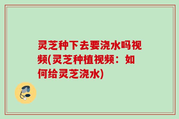 灵芝种下去要浇水吗视频(灵芝种植视频:如何给灵芝浇水) 灵芝种下去要浇水吗视频(灵芝种植视频:如何给灵芝浇水)
