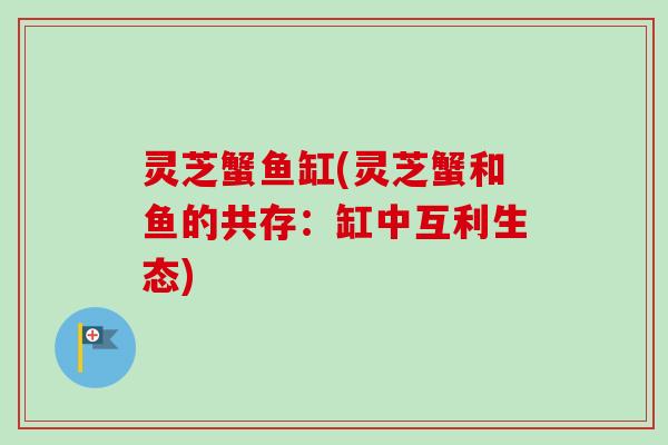 灵芝蟹鱼缸(灵芝蟹和鱼的共存:缸中互利生态) 灵芝蟹鱼缸(灵芝蟹和鱼的共存:缸中互利生态)