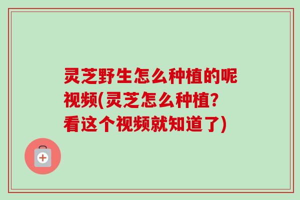 灵芝野生怎么种植的呢视频(灵芝怎么种植？看这个视频就知道了)