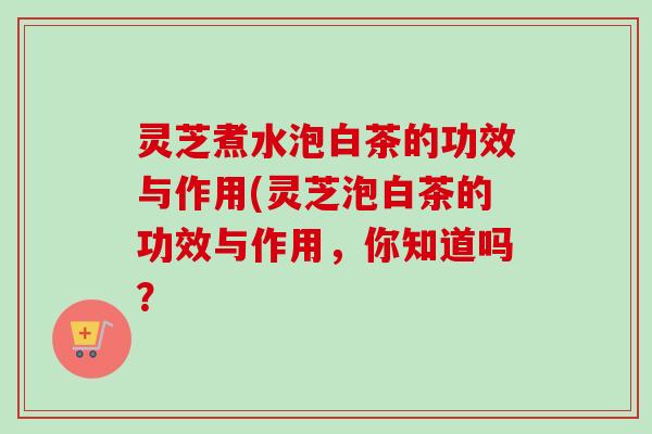 灵芝煮水泡白茶的功效与作用(灵芝泡白茶的功效与作用,你知道吗? 灵芝煮水泡白茶的功效与作用(灵芝泡白茶的功效与作用,你知道吗?