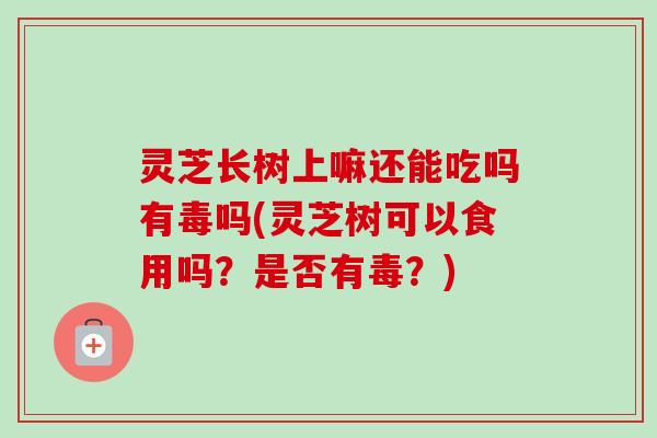 灵芝长树上嘛还能吃吗有毒吗(灵芝树可以食用吗?是否有毒?) 灵芝长树上嘛还能吃吗有毒吗(灵芝树可以食用吗?是否有毒?)