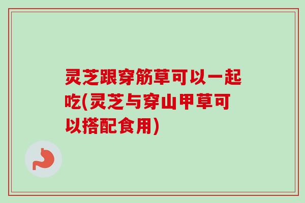 灵芝跟穿筋草可以一起吃(灵芝与穿山甲草可以搭配食用)