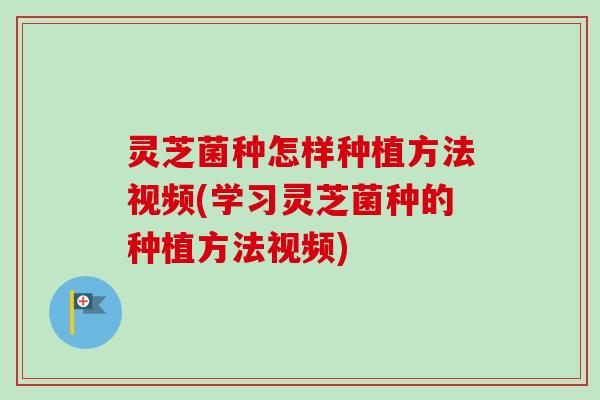 灵芝菌种怎样种植方法视频(学习灵芝菌种的种植方法视频)