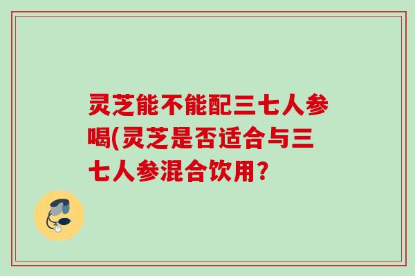 灵芝能不能配三七人参喝(灵芝是否适合与三七人参混合饮用？