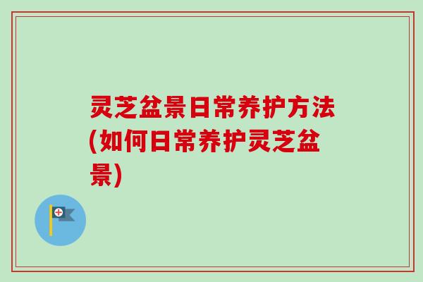 灵芝盆景日常养护方法(如何日常养护灵芝盆景)