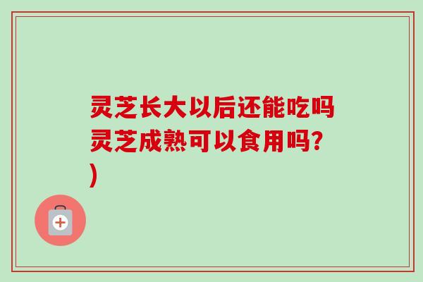灵芝长大以后还能吃吗灵芝成熟可以食用吗？)