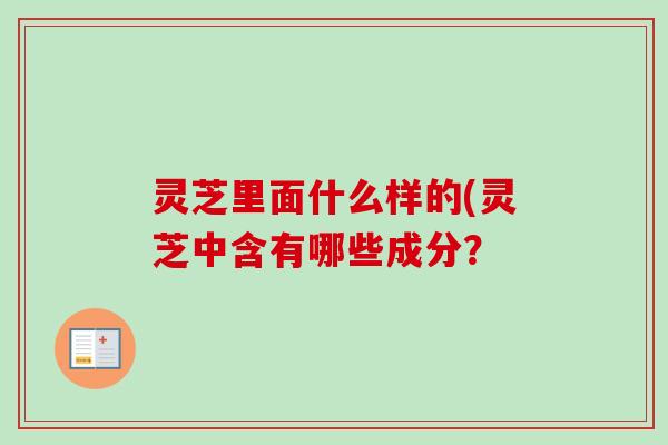 灵芝里面什么样的(灵芝中含有哪些成分? 灵芝里面什么样的(灵芝中含有哪些成分?
