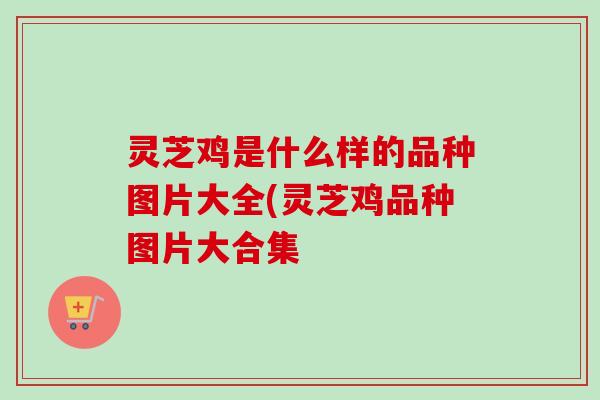 灵芝鸡是什么样的品种图片大全(灵芝鸡品种图片大合集 灵芝鸡是什么样的品种图片大全(灵芝鸡品种图片大合集
