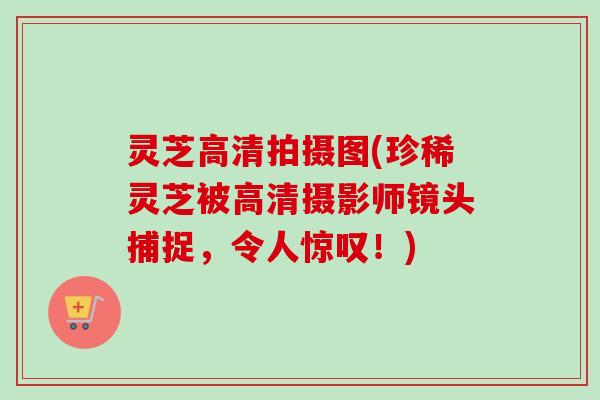 灵芝高清拍摄图(珍稀灵芝被高清摄影师镜头捕捉，令人惊叹！)