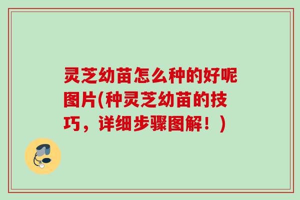 灵芝幼苗怎么种的好呢图片(种灵芝幼苗的技巧，详细步骤图解！)
