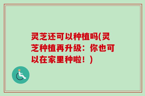 灵芝还可以种植吗(灵芝种植再升级:你也可以在家里种啦!) 灵芝还可以种植吗(灵芝种植再升级:你也可以在家里种啦!)
