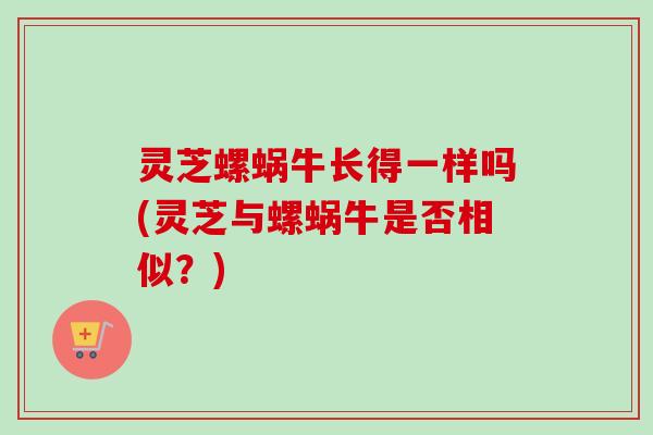 灵芝螺蜗牛长得一样吗(灵芝与螺蜗牛是否相似?) 灵芝螺蜗牛长得一样吗(灵芝与螺蜗牛是否相似?)