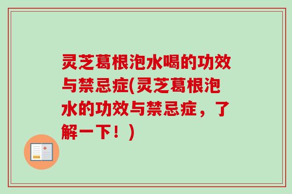 灵芝葛根泡水喝的功效与禁忌症(灵芝葛根泡水的功效与禁忌症,了解一下!) 灵芝葛根泡水喝的功效与禁忌症(灵芝葛根泡水的功效与禁忌症,了解一下!)