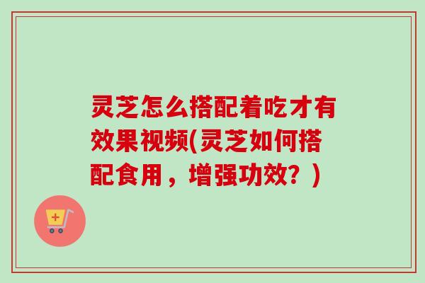 灵芝怎么搭配着吃才有效果视频(灵芝如何搭配食用,增强功效?) 灵芝怎么搭配着吃才有效果视频(灵芝如何搭配食用,增强功效?)