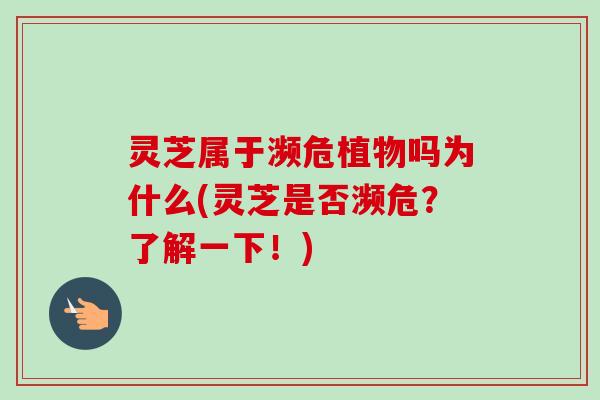 灵芝属于濒危植物吗为什么(灵芝是否濒危？了解一下！)