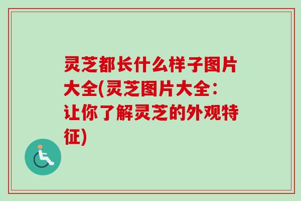 灵芝都长什么样子图片大全(灵芝图片大全：让你了解灵芝的外观特征)