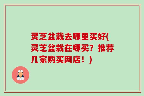 灵芝盆栽去哪里买好(灵芝盆栽在哪买？推荐几家购买网店！)