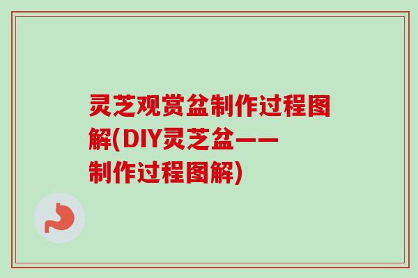 灵芝观赏盆制作过程图解(DIY灵芝盆——制作过程图解) 灵芝观赏盆制作过程图解(DIY灵芝盆——制作过程图解)