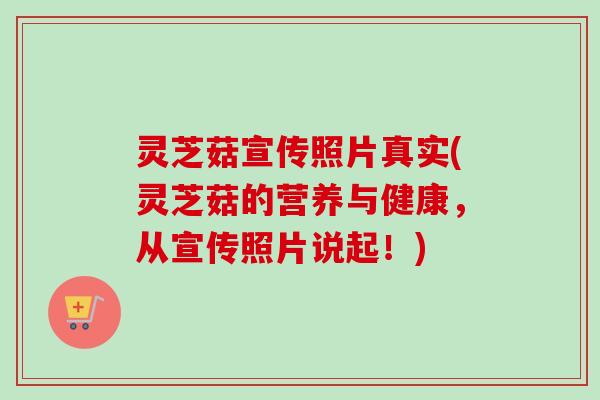 灵芝菇宣传照片真实(灵芝菇的营养与健康,从宣传照片说起!) 灵芝菇宣传照片真实(灵芝菇的营养与健康,从宣传照片说起!)