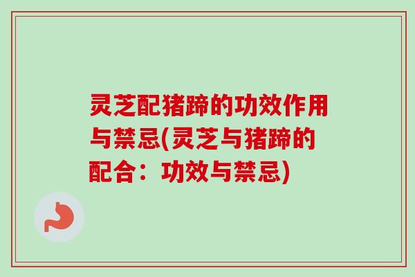 灵芝配猪蹄的功效作用与禁忌(灵芝与猪蹄的配合:功效与禁忌) 灵芝配猪蹄的功效作用与禁忌(灵芝与猪蹄的配合:功效与禁忌)