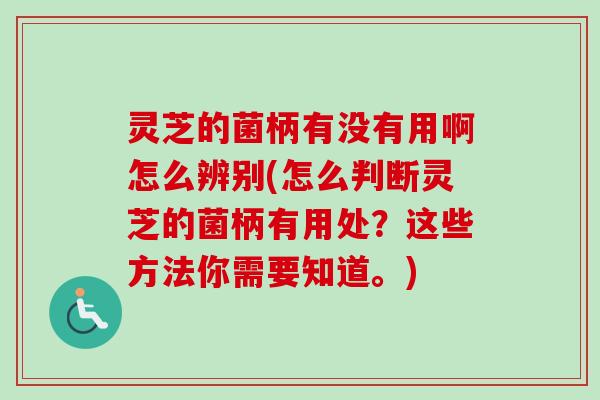 灵芝的菌柄有没有用啊怎么辨别(怎么判断灵芝的菌柄有用处?这些方法你需要知道。) 灵芝的菌柄有没有用啊怎么辨别(怎么判断灵芝的菌柄有用处?这些方法你需要知道。)