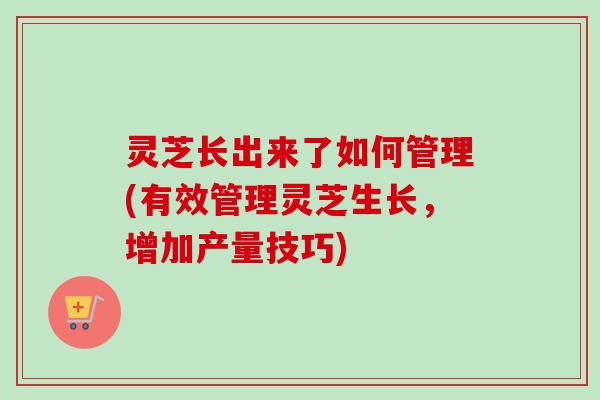 灵芝长出来了如何管理(有效管理灵芝生长,增加产量技巧) 灵芝长出来了如何管理(有效管理灵芝生长,增加产量技巧)