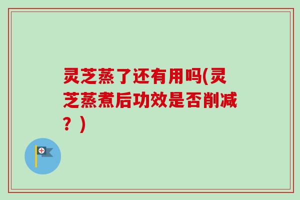 灵芝蒸了还有用吗(灵芝蒸煮后功效是否削减?) 灵芝蒸了还有用吗(灵芝蒸煮后功效是否削减?)