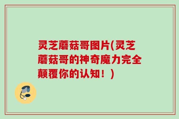 灵芝蘑菇哥图片(灵芝蘑菇哥的神奇魔力完全颠覆你的认知!) 灵芝蘑菇哥图片(灵芝蘑菇哥的神奇魔力完全颠覆你的认知!)