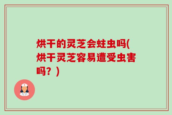 烘干的灵芝会蛀虫吗(烘干灵芝容易遭受虫害吗?) 烘干的灵芝会蛀虫吗(烘干灵芝容易遭受虫害吗?)