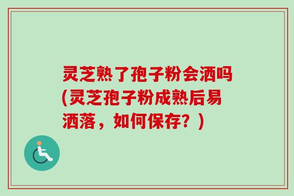 灵芝熟了孢子粉会洒吗(灵芝孢子粉成熟后易洒落,如何保存?) 灵芝熟了孢子粉会洒吗(灵芝孢子粉成熟后易洒落,如何保存?)