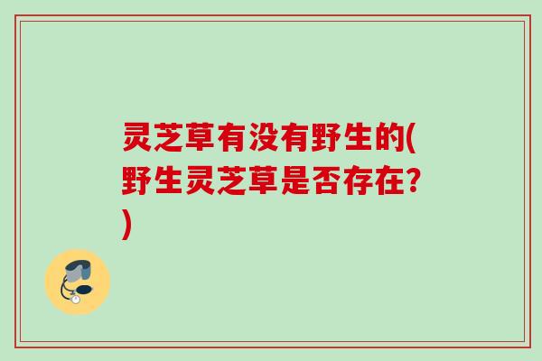 灵芝草有没有野生的(野生灵芝草是否存在?) 灵芝草有没有野生的(野生灵芝草是否存在?)