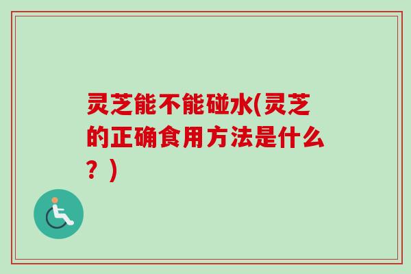 灵芝能不能碰水(灵芝的正确食用方法是什么?) 灵芝能不能碰水(灵芝的正确食用方法是什么?)