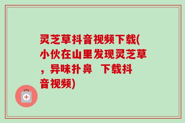 灵芝草抖音视频下载(小伙在山里发现灵芝草,异味扑鼻 下载抖音视频) 灵芝草抖音视频下载(小伙在山里发现灵芝草,异味扑鼻 下载抖音视频)