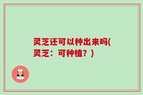灵芝还可以种出来吗(灵芝:可种植?) 灵芝还可以种出来吗(灵芝:可种植?)