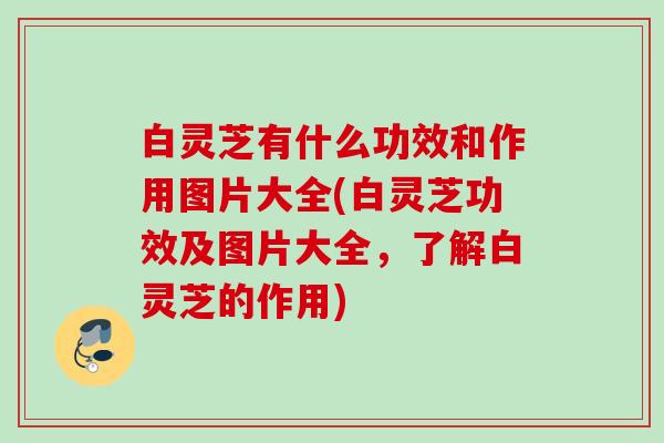 白灵芝有什么功效和作用图片大全(白灵芝功效及图片大全,了解白灵芝的作用) 白灵芝有什么功效和作用图片大全(白灵芝功效及图片大全,了解白灵芝的作用)