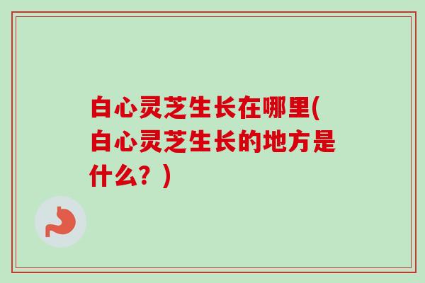 白心灵芝生长在哪里(白心灵芝生长的地方是什么?) 白心灵芝生长在哪里(白心灵芝生长的地方是什么?)