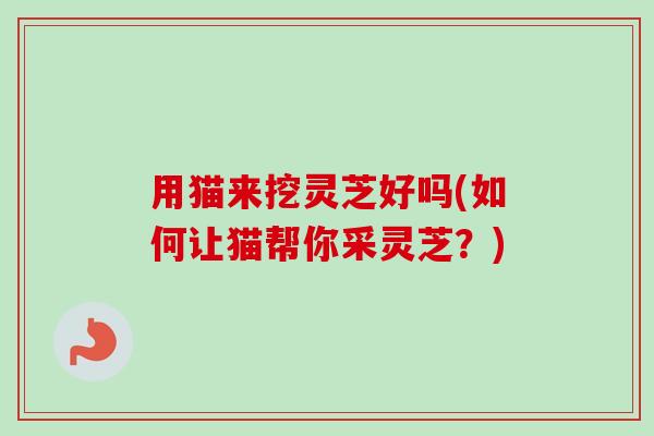 用猫来挖灵芝好吗(如何让猫帮你采灵芝?) 用猫来挖灵芝好吗(如何让猫帮你采灵芝?)