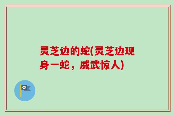 灵芝边的蛇(灵芝边现身一蛇，威武惊人)