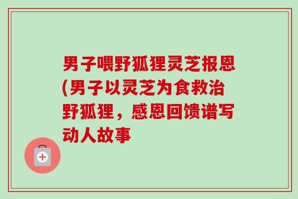 男子喂野狐狸灵芝报恩(男子以灵芝为食救野狐狸，感恩回馈谱写动人故事