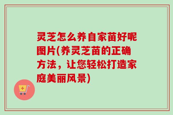 灵芝怎么养自家苗好呢图片(养灵芝苗的正确方法,让您轻松打造家庭美丽风景) 灵芝怎么养自家苗好呢图片(养灵芝苗的正确方法,让您轻松打造家庭美丽风景)