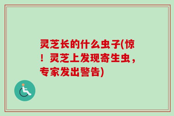 灵芝长的什么虫子(惊!灵芝上发现寄生虫,专家发出警告) 灵芝长的什么虫子(惊!灵芝上发现寄生虫,专家发出警告)