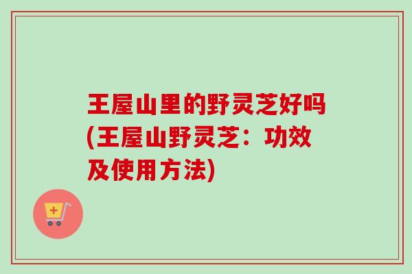 王屋山里的野灵芝好吗(王屋山野灵芝:功效及使用方法) 王屋山里的野灵芝好吗(王屋山野灵芝:功效及使用方法)