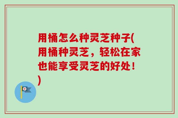 用桶怎么种灵芝种子(用桶种灵芝,轻松在家也能享受灵芝的好处!) 用桶怎么种灵芝种子(用桶种灵芝,轻松在家也能享受灵芝的好处!)
