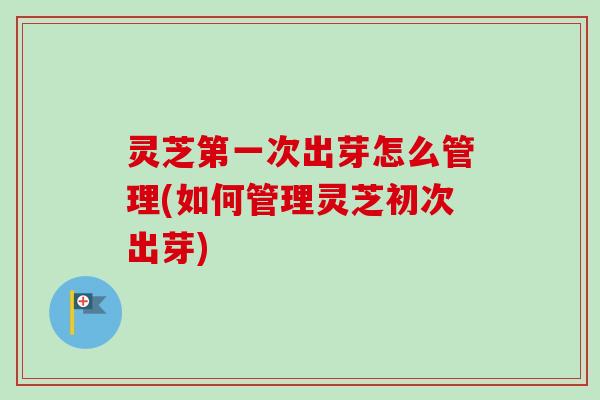灵芝第一次出芽怎么管理(如何管理灵芝初次出芽)