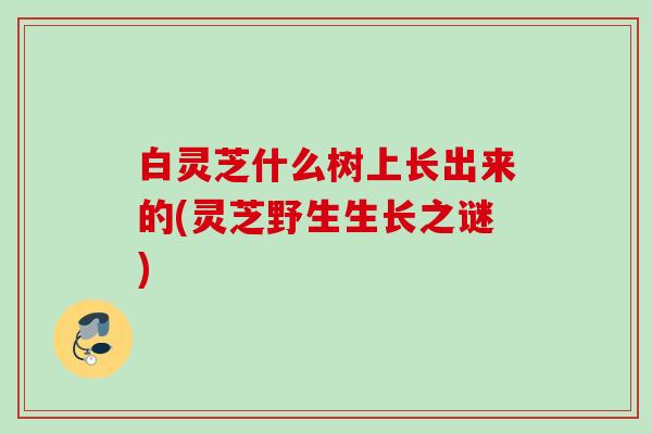 白灵芝什么树上长出来的(灵芝野生生长之谜)