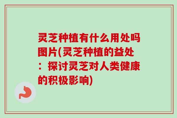 灵芝种植有什么用处吗图片(灵芝种植的益处:探讨灵芝对人类健康的积极影响) 灵芝种植有什么用处吗图片(灵芝种植的益处:探讨灵芝对人类健康的积极影响)