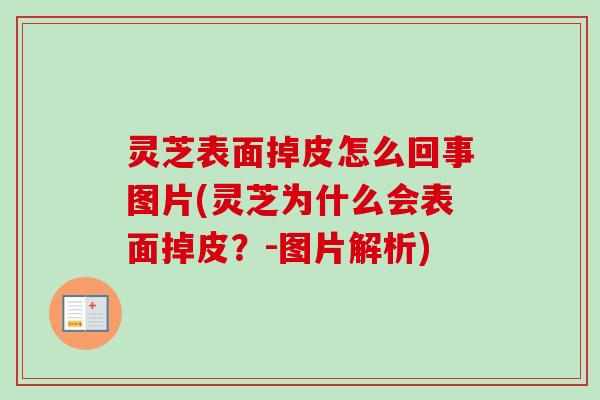 灵芝表面掉皮怎么回事图片(灵芝为什么会表面掉皮?-图片解析) 灵芝表面掉皮怎么回事图片(灵芝为什么会表面掉皮?-图片解析)